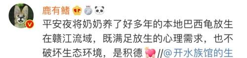 男星平安夜放生巴西龟，科普v说:很好。  第10张